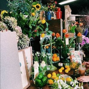 Meet your Posher, Lindsey